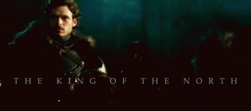 King Of The North GIF - Got Game Of Thrones Robb Stark GIFs