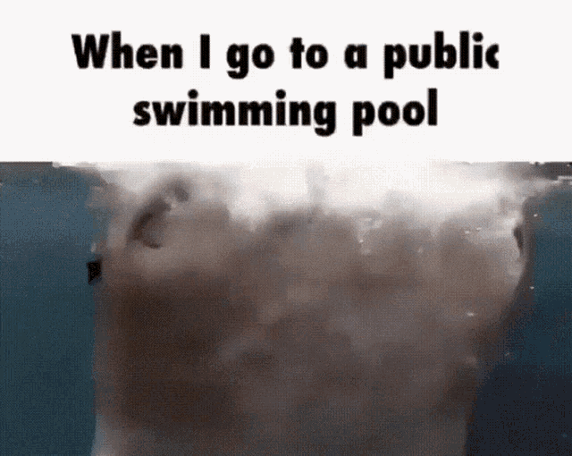 Public Swimming Pool Pool GIF - Public Swimming Pool Pool Public GIFs