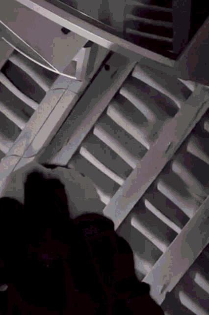 a black and white photo of a staircase with a shadow of a person on it