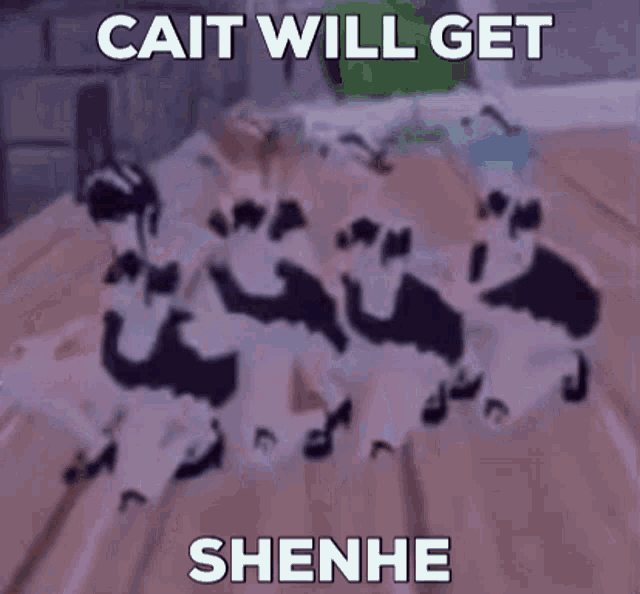 Cait Will Get Shenhe Shenhe GIF - Cait Will Get Shenhe Shenhe Cait GIFs