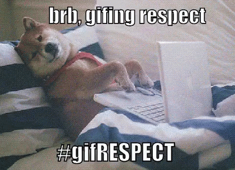 Brb, Giffing Respect GIF - Brb Dog Gif Respect GIFs
