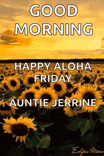 a picture of a field of sunflowers with the words `` good morning happy aloha friday auntie jerrine '' written on it .