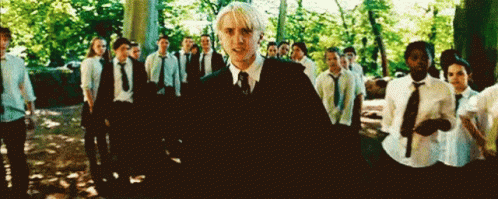 Draco Malfoy Harry Potter GIF - Draco Malfoy Harry Potter Draco GIFs