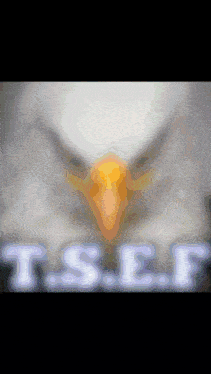 a close up of an eagle 's head with the letters t.s.e.f. visible