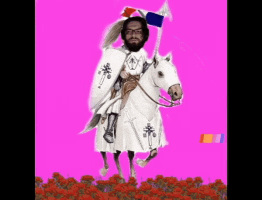 a man with a beard is riding a white horse in a field of flowers