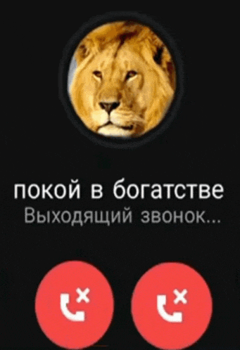 a picture of a lion in a circle with the words " покой в богатстве "