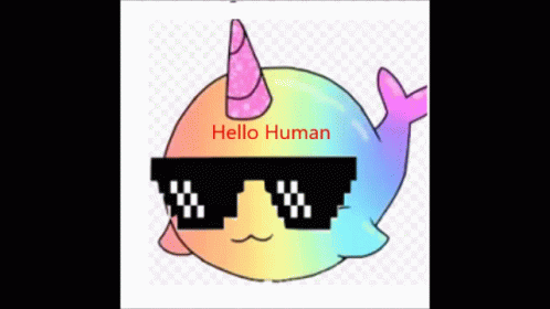 Uniwhale Hello Human GIF - Uniwhale Hello Human Youre Gay GIFs