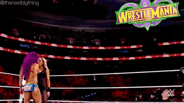 two women are standing in a wrestling ring with a sign that says wrestlemania on it .