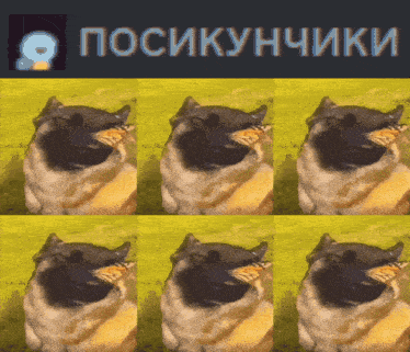 a picture of a dog with a butterfly in its mouth and the words " posikynchiki " above it