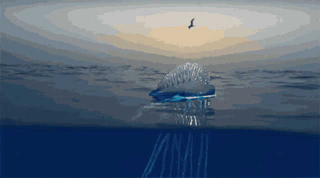 a seagull is flying over a large jellyfish in the ocean
