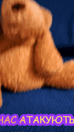 a brown teddy bear is laying on a blue couch with a purple sticker that says " hacatakuoth "