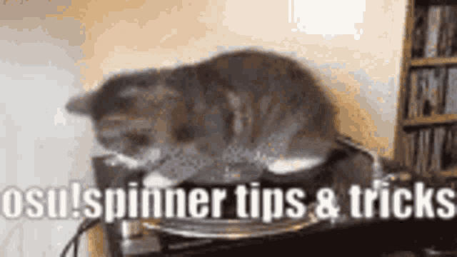 Osu Spinner GIF - Osu Spinner Tips GIFs