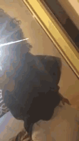 a person is taking a selfie with their phone in front of a mirror .