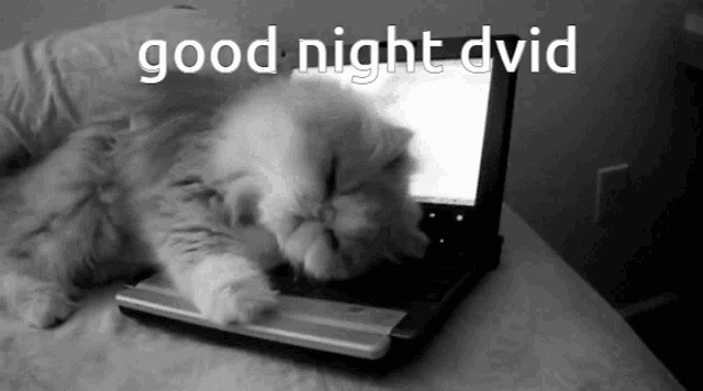 a cat laying on top of a laptop with the words " good night dvid " written above it