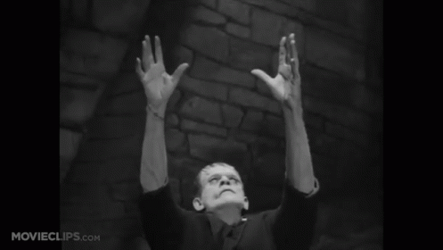 Experiencing Light For The First Time GIF - Frankenstein James Whale Boriskarloff GIFs