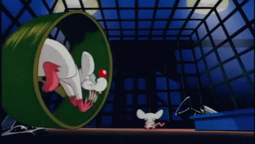 Pinky And The Brain Plan GIF - Pinky And The Brain Plan Treadmill GIFs