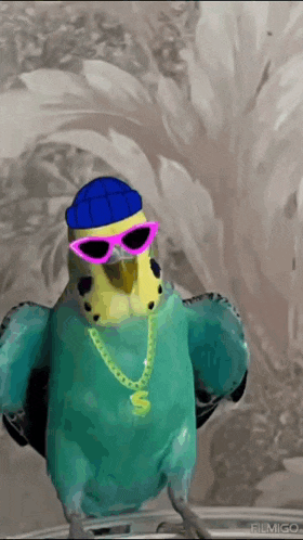 a bird wearing a hat sunglasses and a chain with the letter v on it 's neck