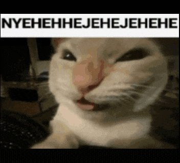 a close up of a cat 's face with a caption that says nyehehejehejehehe