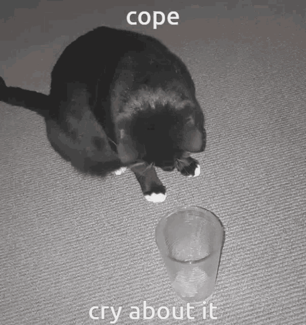 Cry About It Cope Cope GIF - Cry About It Cope Cry About It Cope GIFs