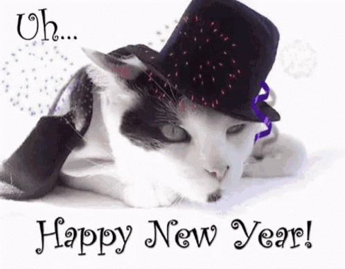Uh Happy New Year GIF - Uh Happy New Year Cat GIFs