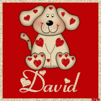 David David Name GIF - David David Name Dog GIFs
