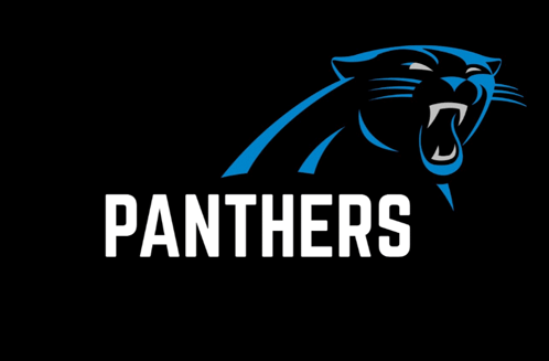 Carolina Panthers Go Panthers GIF - Carolina Panthers Go Panthers Panthers Win GIFs