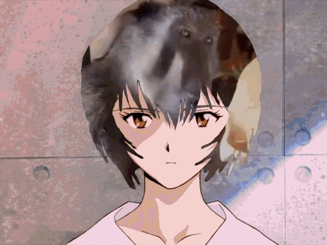 Rei Ayanami Evangelion GIF - Rei Ayanami Evangelion Lore GIFs