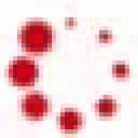 a circle of red flowers on a white background