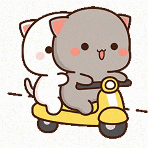 a cat and a dog are riding a scooter together .