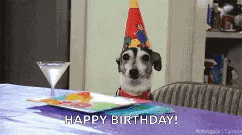 a dog wearing a party hat is sitting at a table with a martini glass and a plate .