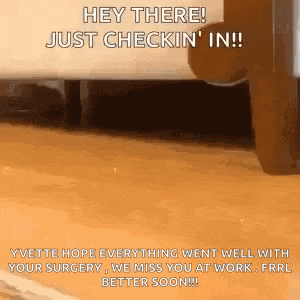 a person is standing on a wooden floor next to a dresser .