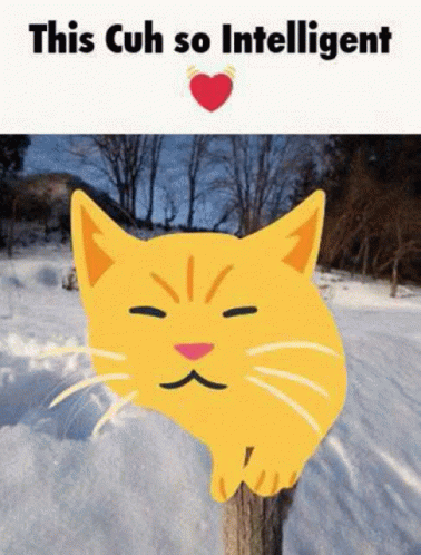 This Cuh So Intelligent Cat GIF - This Cuh So Intelligent Cat Cats GIFs