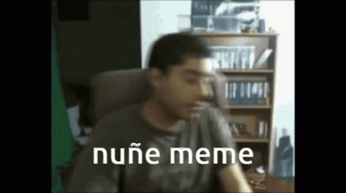 Nuñe Meme GIF - Nuñe Meme GIFs