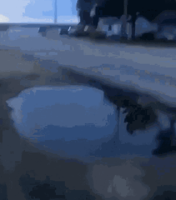 a puddle of water on the ground with a reflection of a person in it