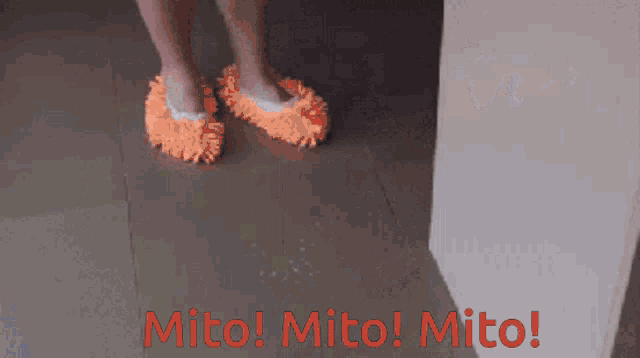 Mito Mito Cleaning GIF