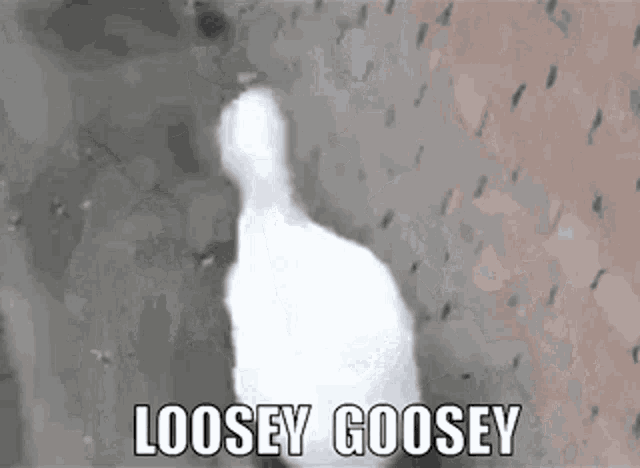 Loosey Goosey GIF - Loosey Goosey GIFs