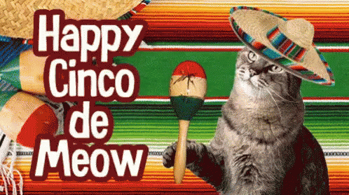 Happy Cinco De Mayo Maraca GIF - Happy Cinco De Mayo Cinco De Mayo Maraca GIFs