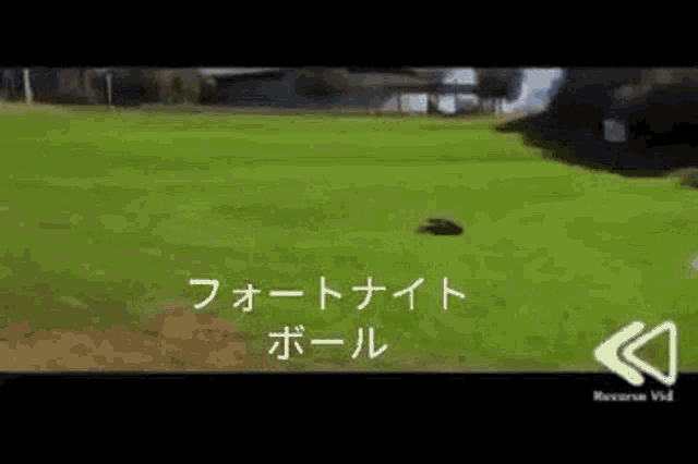 a person is standing on top of a lush green field with chinese writing on it .