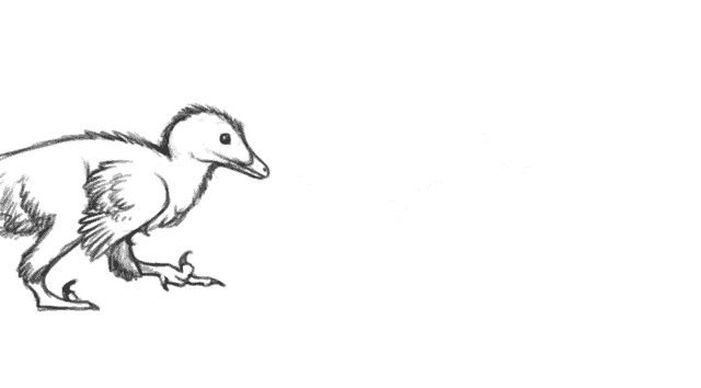 a black and white drawing of a small dinosaur with a long tail
