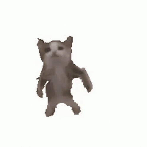 Cat Dancing GIF - Cat Dancing Gangnam Style GIFs