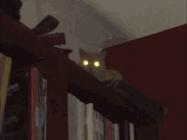 Cat Chat GIF - Cat Chat Demon GIFs