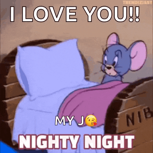 a cartoon mouse is laying in a bed with the words `` i love you my j nighty night '' .