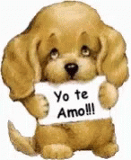 Dog Yo Te Amo GIF - Dog Yo Te Amo GIFs