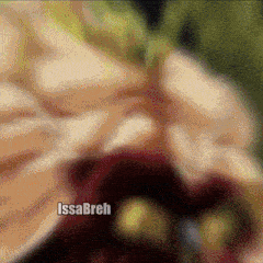a blurry picture of a person with the name issabreh in the corner