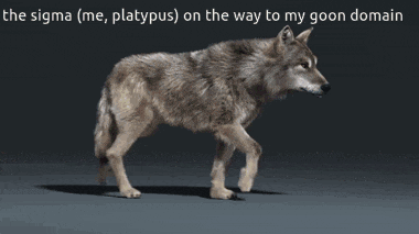 a picture of a wolf with a caption that says the sigma on the way to my goon domain