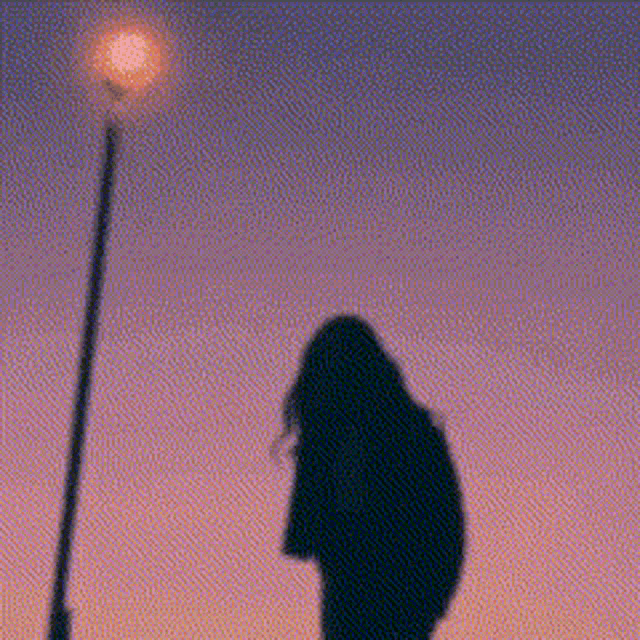 a silhouette of a person standing next to a street light