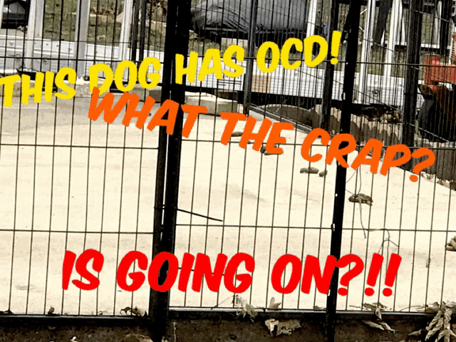 a fence with the words " this dog has ocd what the crap is going on "