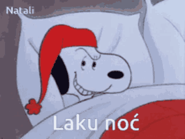 a cartoon of snoopy wearing a santa hat is laying in bed with the words " laku noc " on the bottom