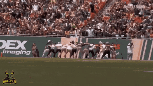 a bullpen logo can be seen on the side of a football field