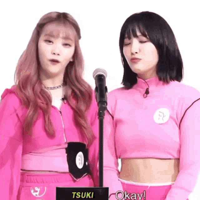 two girls standing next to each other in front of a microphone with tsuki written on the bottom right
